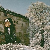 Ruiny zamku w Dąbrówce Starzeńskiej - fot.P.Pyrcz
